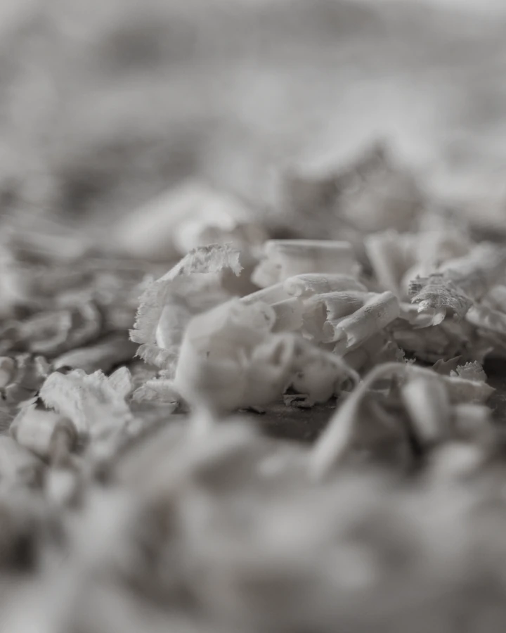 Heartwood rasped to shavings before distillation.